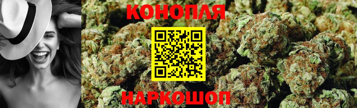 Конопля сатива  Вход с VPN  Марихуана ГИДРОПОН  Бошки Шишки Ganja  Казань  Канабис планчик 